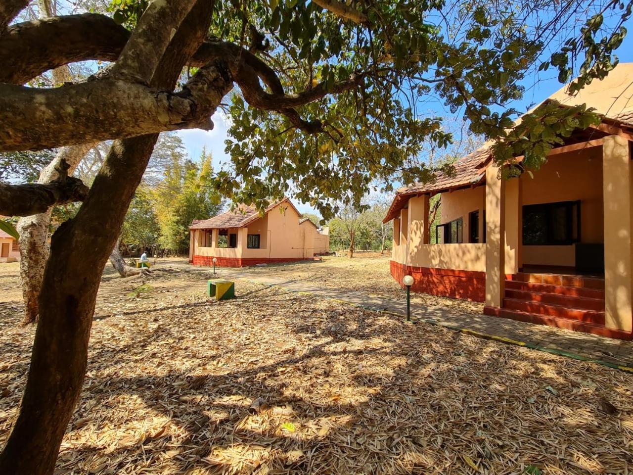 The Country Club Wildlife Resorts Bandipūr Eksteriør billede